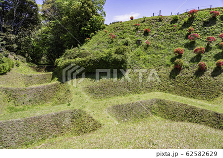 【静岡県】障子堀が美しい、初夏の山中城址公園 62582629