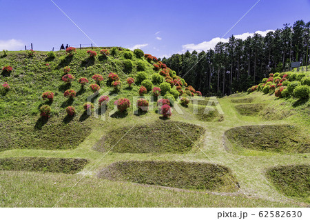 【静岡県】障子堀が美しい、初夏の山中城址公園 【静岡県】障子堀が美しい、初夏の山中城址公園 62582630