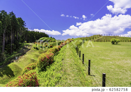 【静岡県】畝堀(うねぼり)が美しい、初夏の山中城址公園 【静岡県】畝堀(うねぼり)が美しい、初夏の山中城址公園 62582758