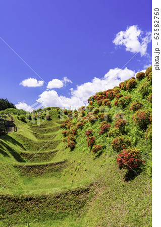 【静岡県】畝堀（うねぼり）が美しい、初夏の山中城址公園 62582760