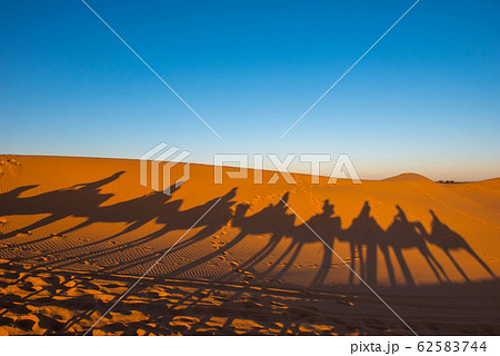 モロッコ　悠久の砂漠 62583744