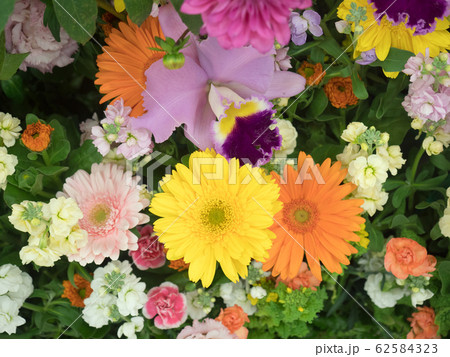 カラフルなフラワーアレンジメント カラフルなフラワーアレンジメント 62584323