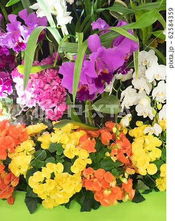 カラフルなフラワーアレンジメント 62584359