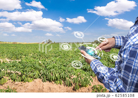 Innovation technology for smart farm system, 62585108