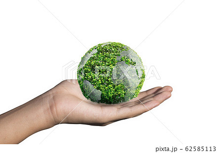 World environment day concept with tree planting 62585113
