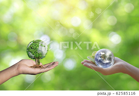 World environment day concept with tree planting 62585116