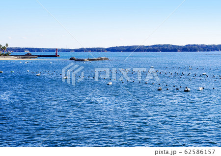 遊覧船より望む英虞湾の風景 遊覧船より望む英虞湾の風景 62586157