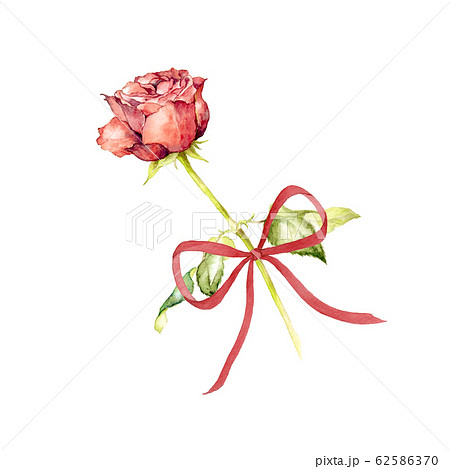薔薇とリボンのイラスト素材