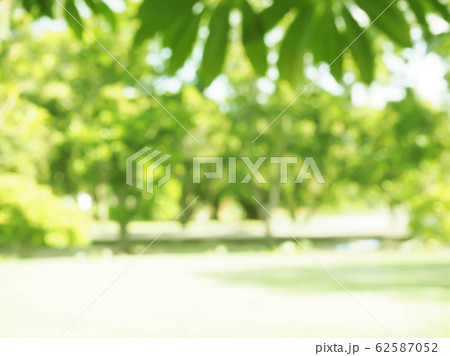 abstract nature background abstract nature background 62587052