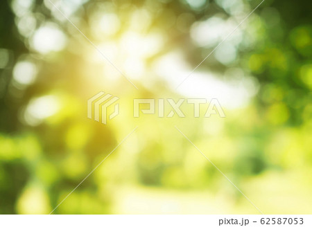 abstract nature background abstract nature background 62587053