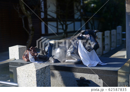 為那都比古神社摂末社天満宮の撫で牛-1 為那都比古神社摂末社天満宮の撫で牛-1 62587835