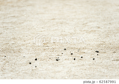 テクスチャー 砂利 土 地面 テクスチャー 砂 ブラウン 茶色の写真素材