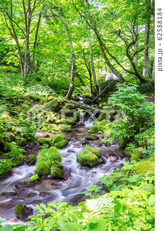 夏　大山　清流 62588184