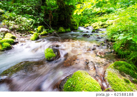 夏 大山 清流 夏 大山 清流 62588188