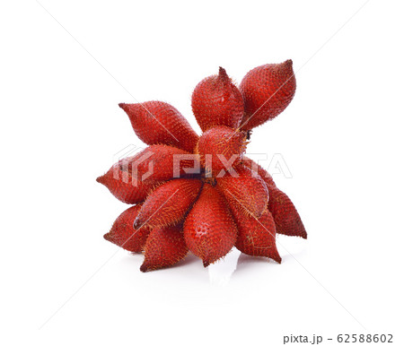 Salak fruit, Salacca zalacca isolated on the white background. Salak fruit, Salacca zalacca isolated on the white background. 62588602