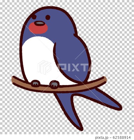 A perennial swallow perching on a perch 62588914