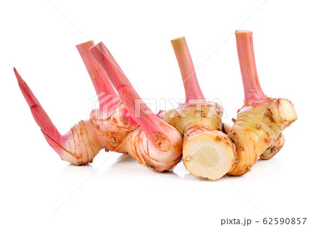 Fresh slices galangal rhizomes isolated on white Fresh slices galangal rhizomes isolated on white 62590857