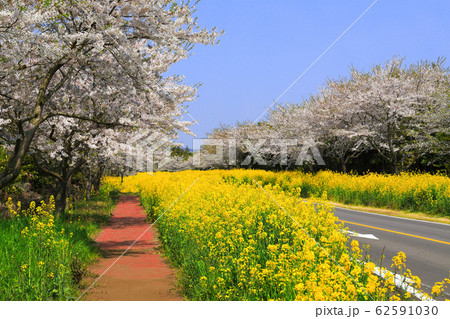 風景 観光 風 62591030