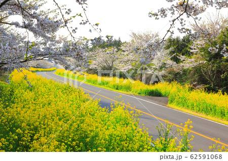 風景 観光 風 62591068
