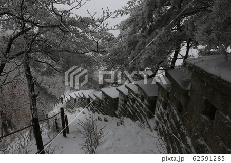 北朝鮮産 冬の木 雪景色 62591285