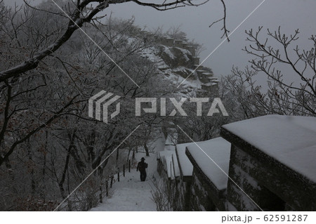北朝鮮産 冬の木 雪景色 62591287