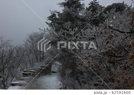 北朝鮮産 雪景色 冬 62591600