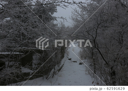 北朝鮮産 雪景色 冬 62591629