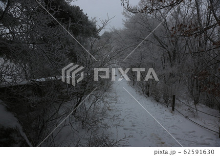 北朝鮮産 雪景色 冬 62591630