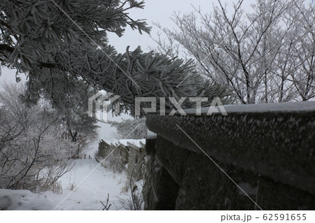 北朝鮮産 雪景色 冬 62591655