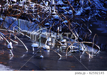 雪景色 雪景色 62592145