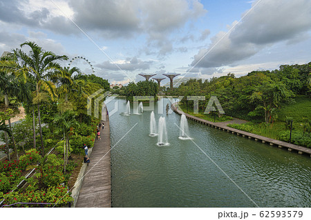 Dragonfly lake in Singapore Dragonfly lake in Singapore 62593579