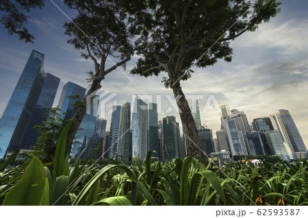 Skyscrapers in Singapore 62593587