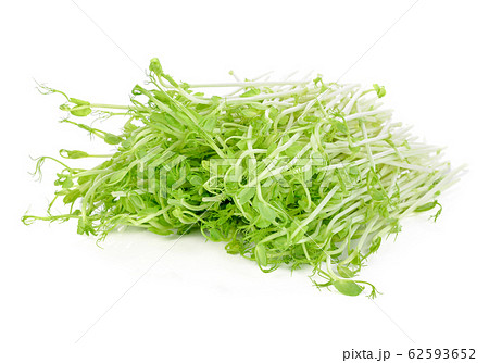 Green pea sprouts isolated on white background. Green pea sprouts isolated on white background. 62593652