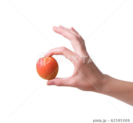 ripe apricots in a hand on a white background 62595309