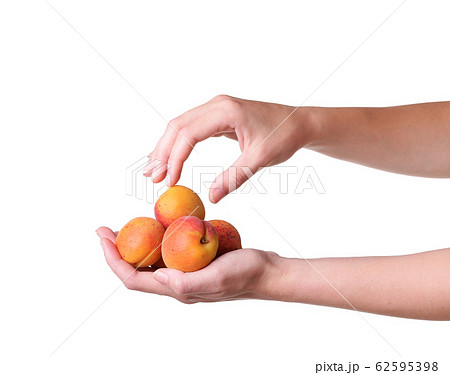 ripe apricots in a hand on a white background ripe apricots in a hand on a white background 62595398