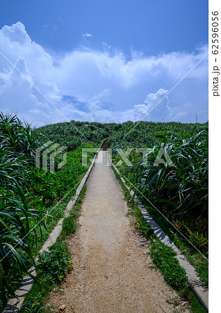 沖縄 絶景 真栄田岬 観光 旅行 夏 海 空 風景 旅 インスタ映え インスタ 沖縄県 島 自然の写真素材