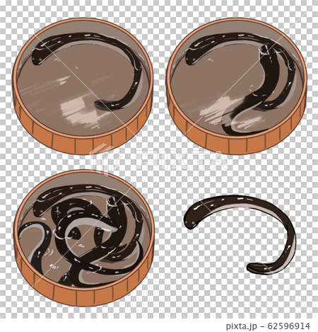 鰻魚在浴缸裡 62596914