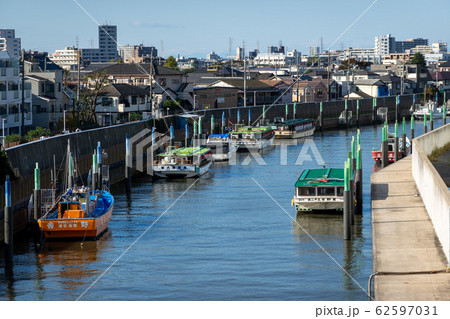 旧江戸川の写真素材 [62597031] - PIXTA