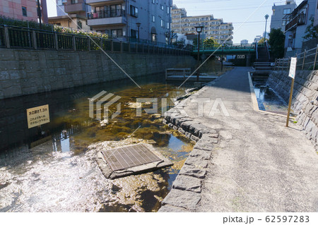 古石場川親水公園 62597283