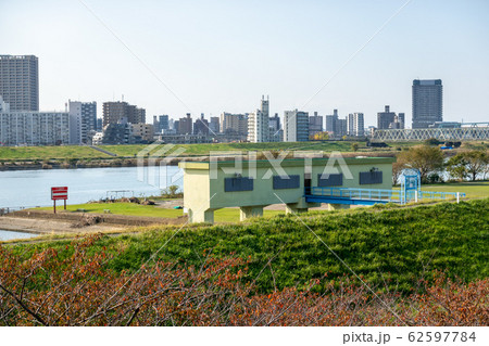 小菅西公園 小菅西公園 62597784