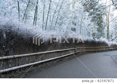竹林の雪景色ー嵐山 62597871