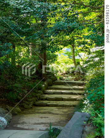 小石川後楽園 62598170