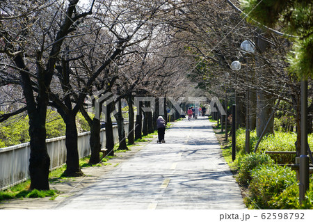 仙台堀川公園 62598792