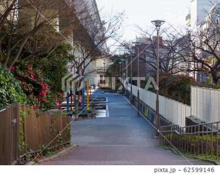 竪川河川敷公園 62599146