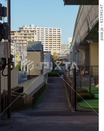 竪川河川敷公園 竪川河川敷公園 62599147