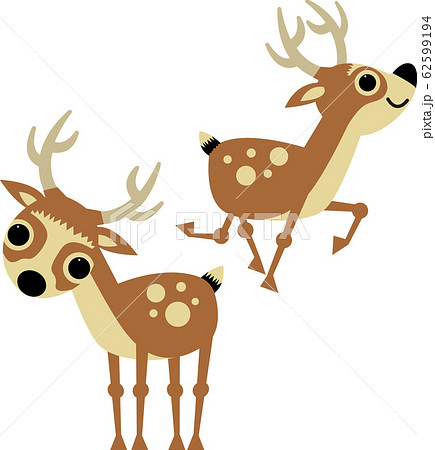 ニホンカモシカ ニホンカモシカ 62599194