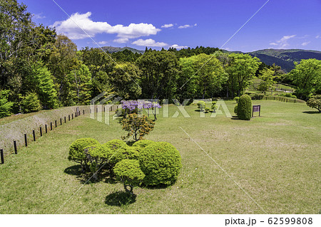 【静岡県】日本百名城・初夏の山中城址 62599808