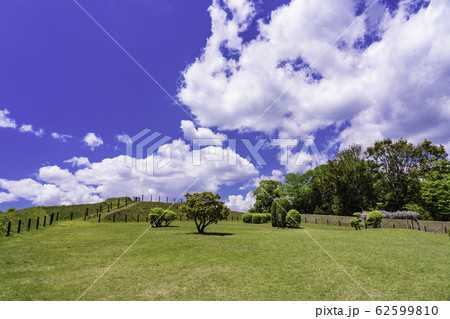 【静岡県】日本百名城・初夏の山中城址 62599810