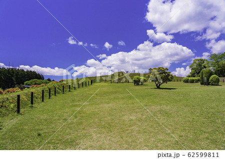 【静岡県】日本百名城・初夏の山中城址 62599811