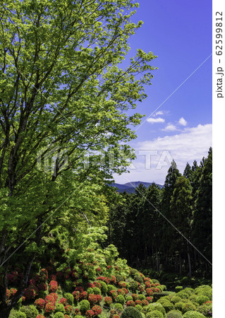 【静岡県】日本百名城・初夏の山中城址 【静岡県】日本百名城・初夏の山中城址 62599812